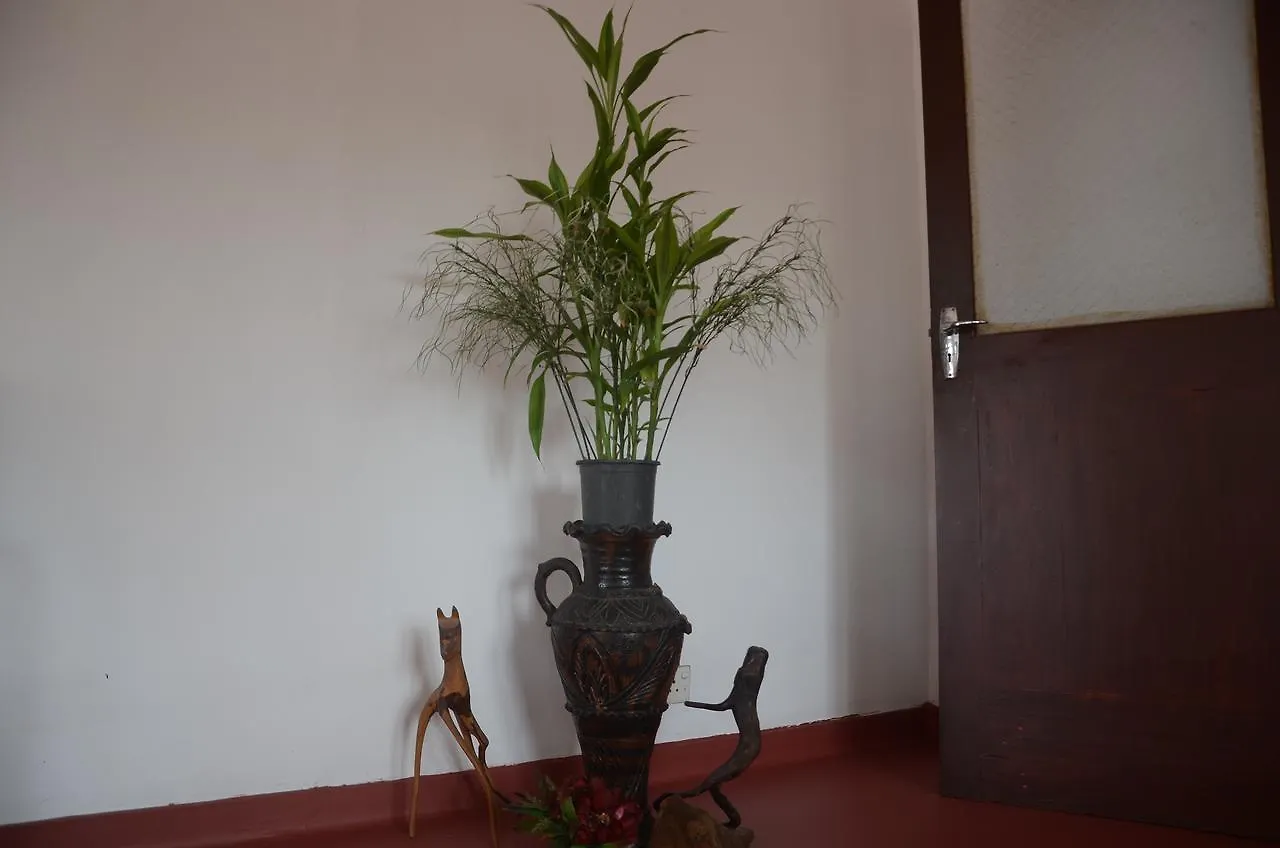 Roel Rest Hotel Negombo Guest house