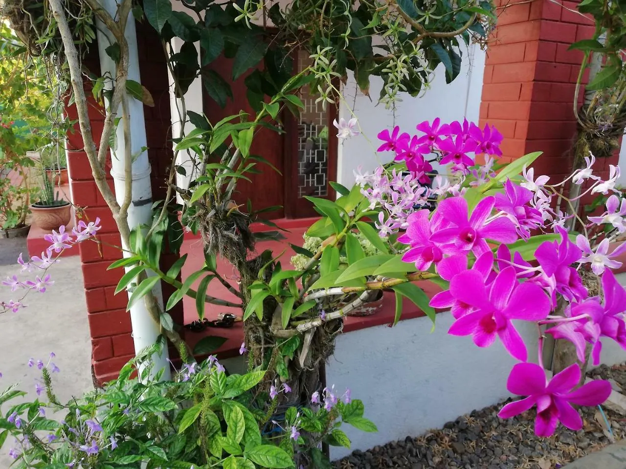 Guest house Roel Rest Hotel Negombo